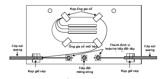 Ông bao sợi và đệm sợi